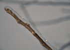 DSC 7022