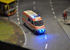 DSC 0050